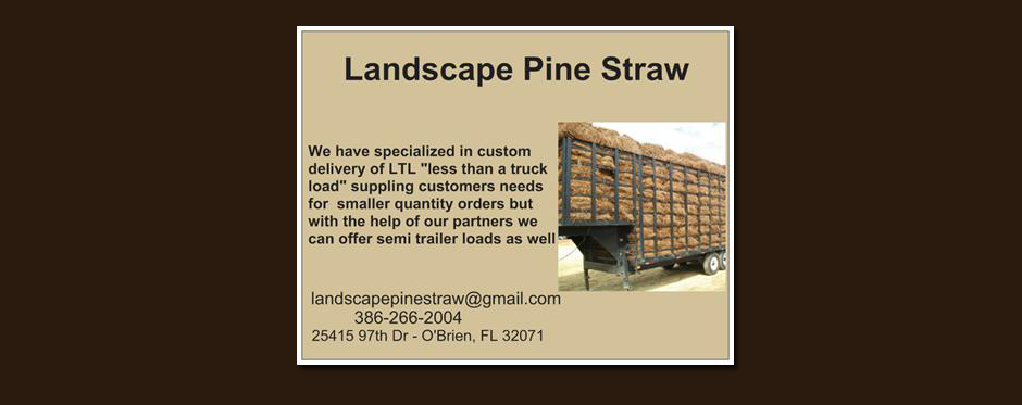 Landscape Pine Straw