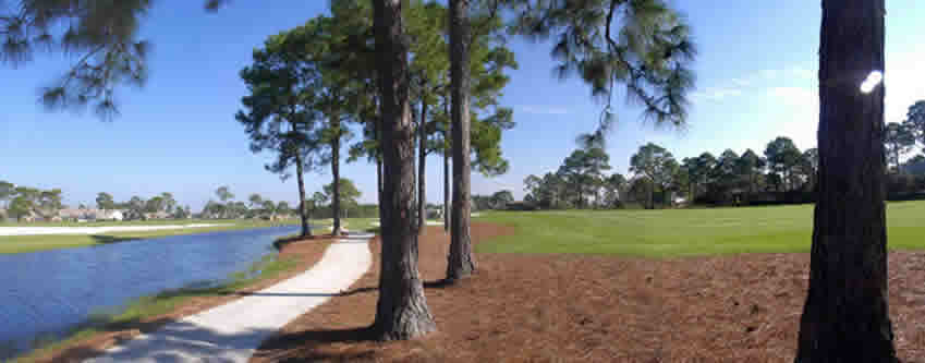Natural Florida Pine Straw