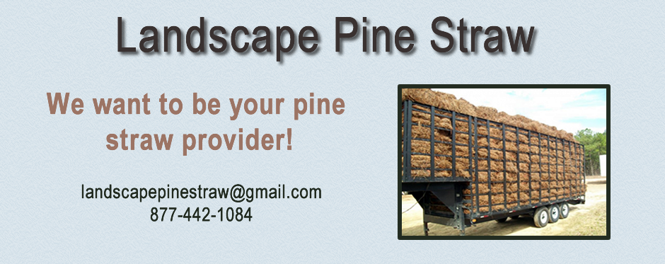 We want to be your pine straw provider!